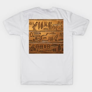 Hieroglyphs 001 T-Shirt